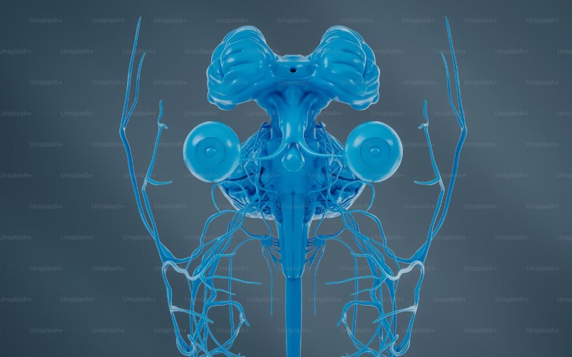 Best Hospital In Bengaluru For Cervical Spondylosis.jpg