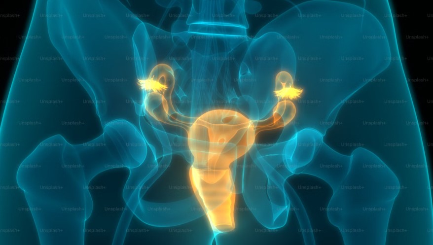 Best Hospital In Hyderabad For Cervical Spondylosis.jpg