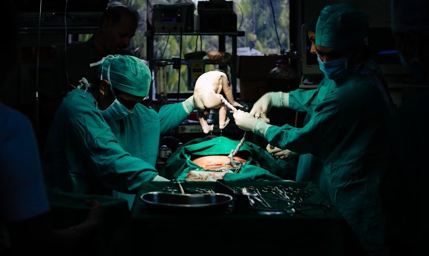 Best Hospital In Chennai For Liver Transplant.jpg